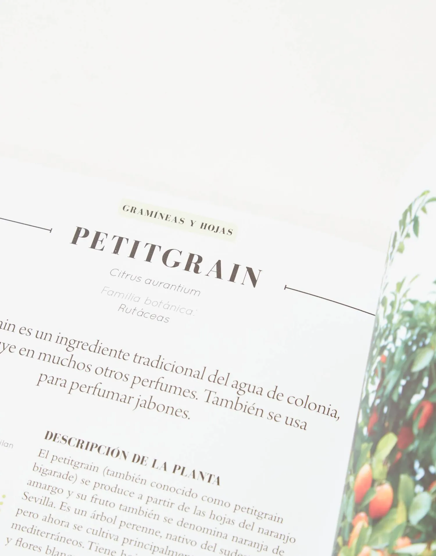 Natura Selection Libros^Aceites Esenciales