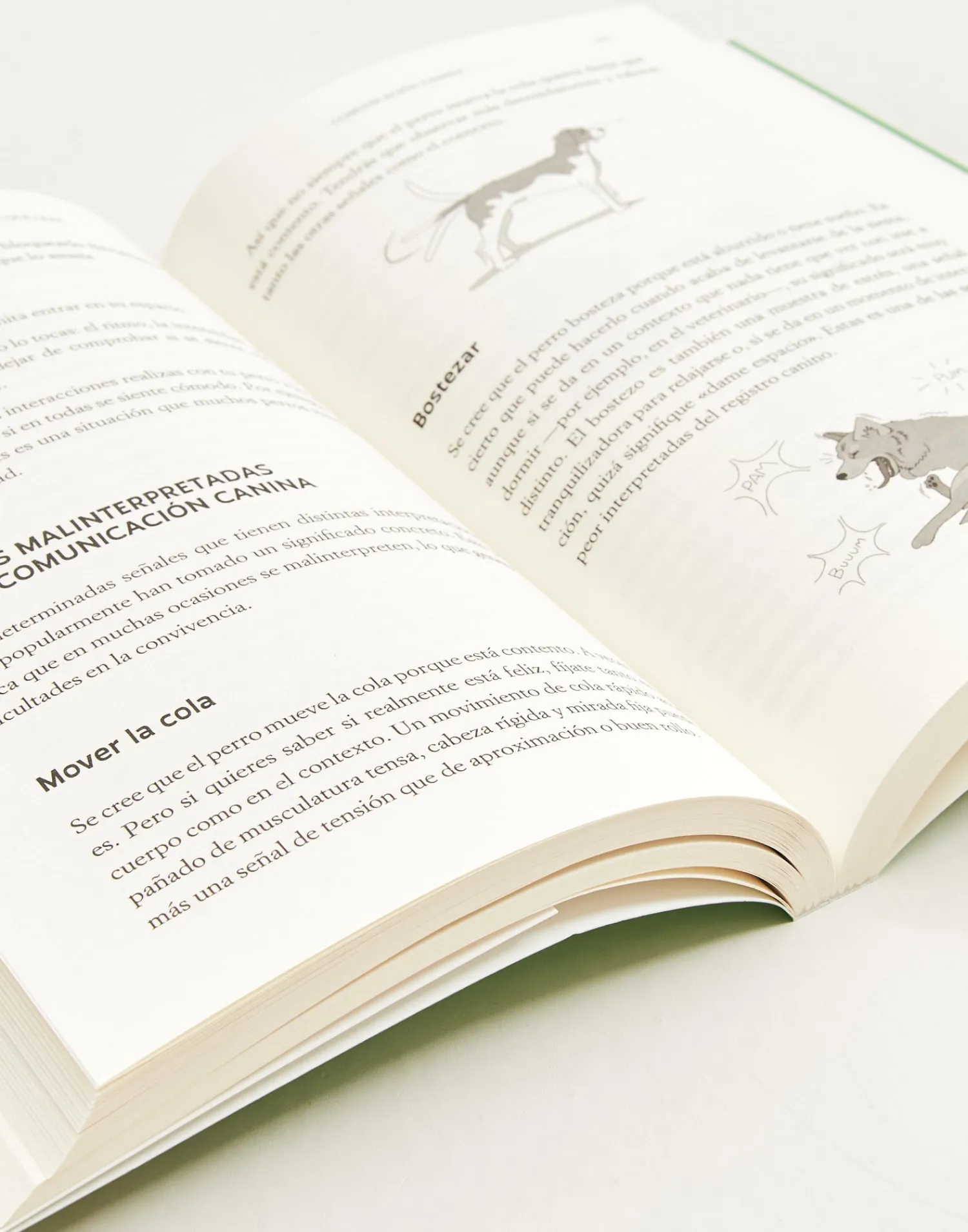 Natura Selection Libros^El Libro Que Tu Perro Quiere Que Leas 150535-SIN_COLOR