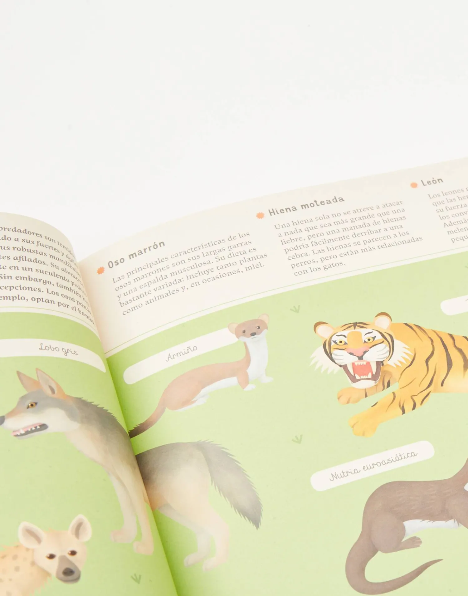 Natura Selection Libros^Enciclopedia De Animales Para Jóvenes Lectores