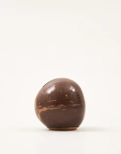 Natura Selection Electrónica Y Gadget|Decoración^Hucha Coco 146072-NATURAL