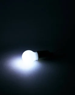 Natura Selection Otros Accesorios|Electrónica Y Gadget^Llavero Bombilla