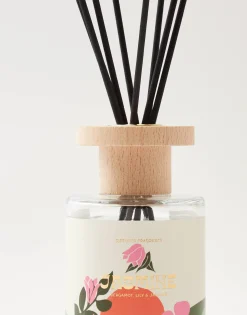 Natura Selection Aromas Y Difusores|Difusores^Mikado Modern 120ml