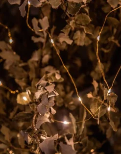 Natura Selection Iluminación|Decoración^Mini Tira De Luces 94542-GOLD-c2af74