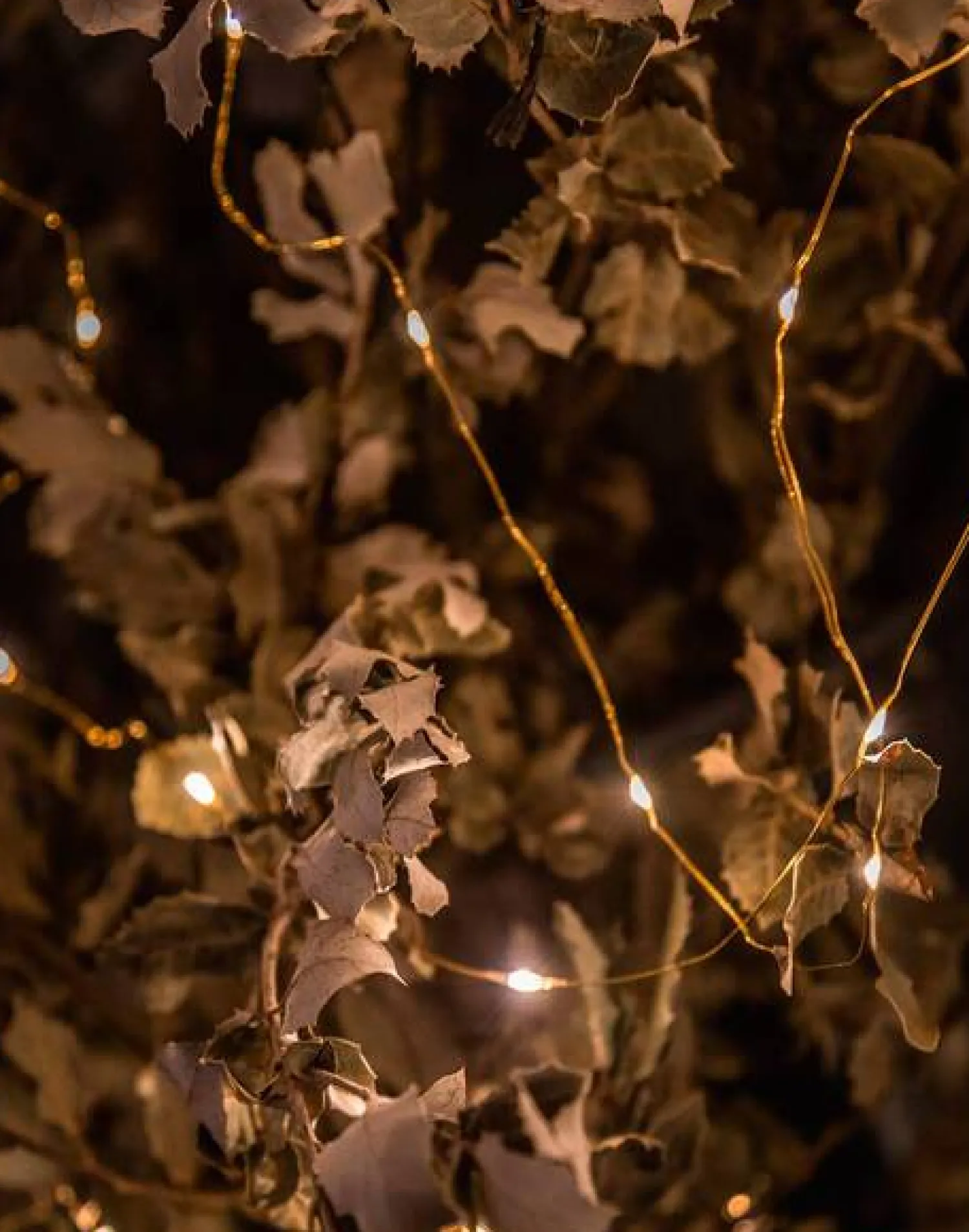 Natura Selection Iluminación|Decoración^Mini Tira De Luces 94542-GOLD-c2af74