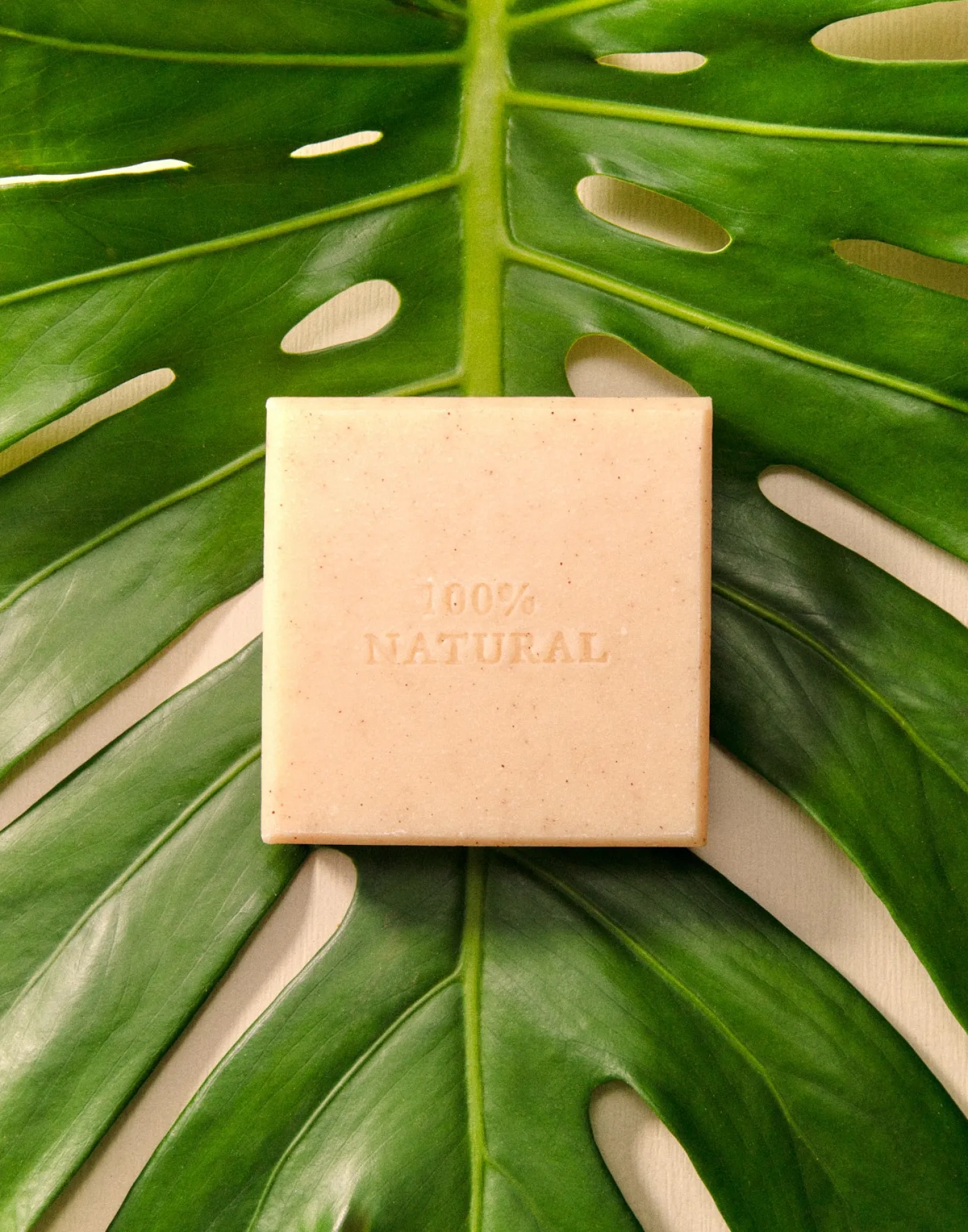 Natura Selection Bodycare & Beauty|Bodycare & Beauty^Pastilla Jabón Con Funda 150g
