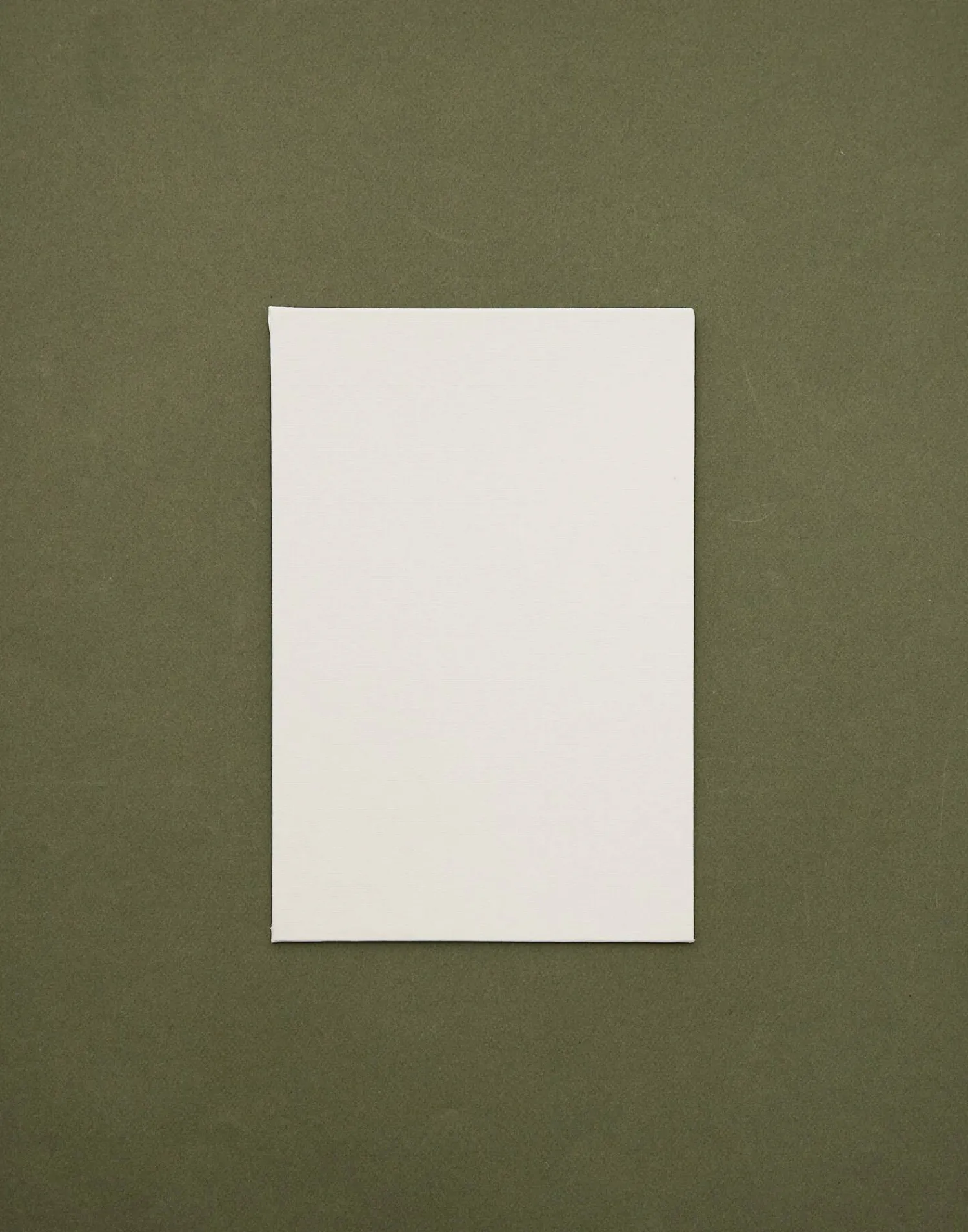 Natura Selection Papelería^Set 3 Lienzos Din A4 130779-WHITE