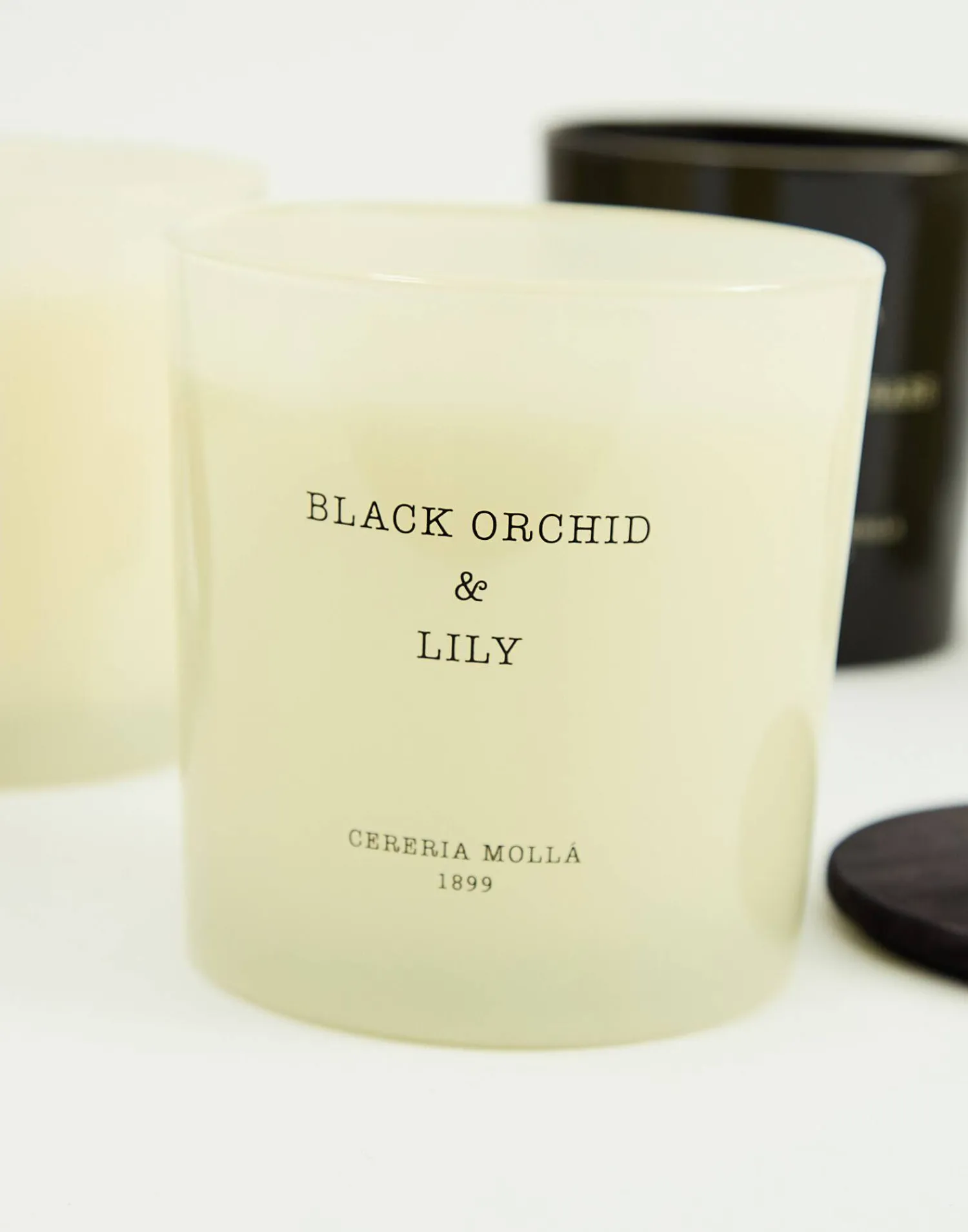 Natura Selection Velas|Velas^Vela 600gr Cereria Mollá